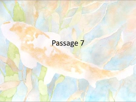 Passage 7.