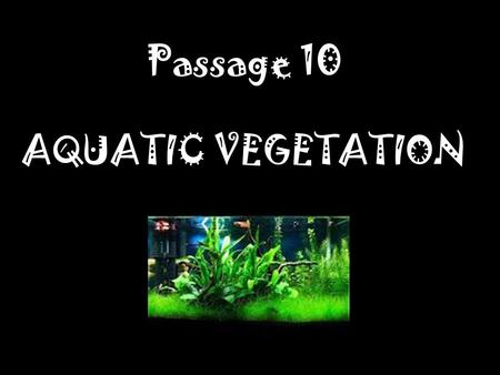 Passage 10 AQUATIC VEGETATION.