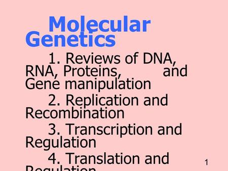 Replication 25/11/00 Molecular Genetics