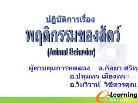 ปฏิบัติการเรื่อง พฤติกรรมของสัตว์ (Animal Behavior)