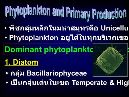 Phytoplankton and Primary Production