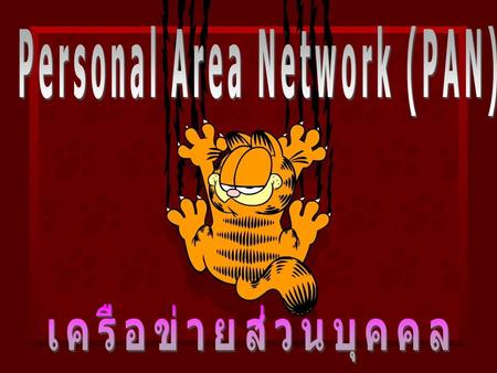 Personal Area Network (PAN)