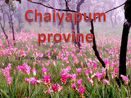 Chaiyapum provine By Olivier deenik G8.