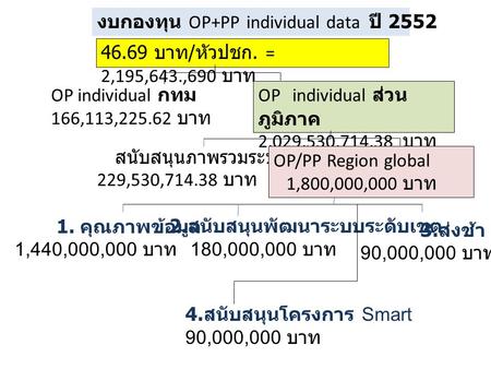 งบกองทุน OP+PP individual data  ปี 2552