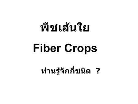 พืชเส้นใย Fiber Crops ท่านรู้จักกี่ชนิด ?.