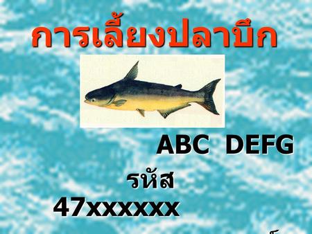 การเลี้ยงปลาบึก ABC DEFG รหัส 47xxxxxx คณะเกษตรศาสตร์ สาขาประมง.