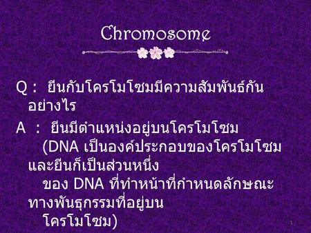 Chromosome Q : ยีนกับโครโมโซมมีความสัมพันธ์กันอย่างไร