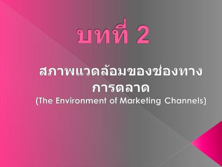 สภาพแวดล้อมของช่องทางการตลาด (The Environment of Marketing Channels)