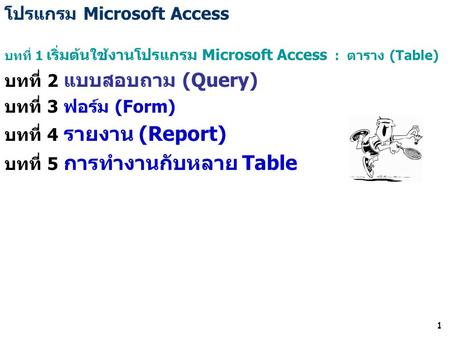 โปรแกรม Microsoft Access