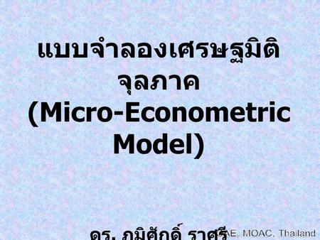 แบบจำลองเศรษฐมิติจุลภาค (Micro-Econometric Model)