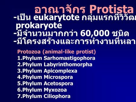 อาณาจักร Protista -เป็น eukarytote กลุ่มแรกที่วิวัฒนาการมาจาก