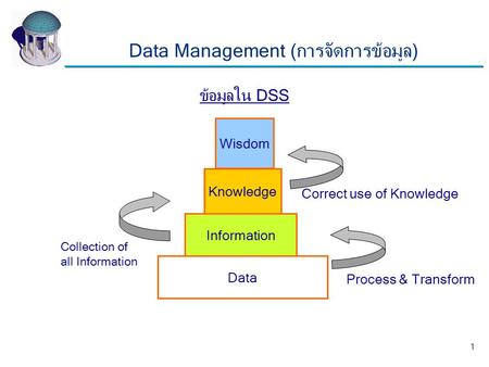 Data Management (การจัดการข้อมูล)