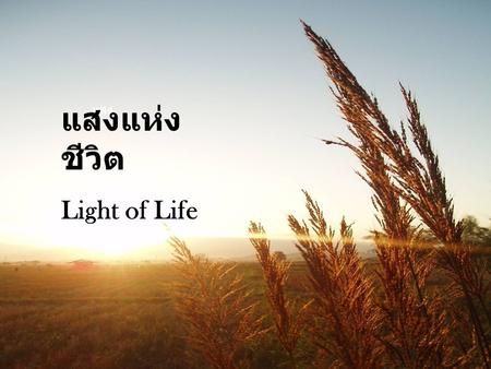 แสงแห่งชีวิต Light of Life แสง.
