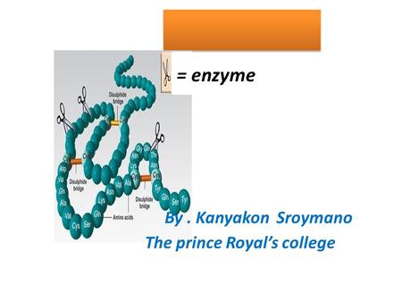 = enzyme By . Kanyakon Sroymano The prince Royal’s college.