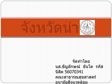 จังหวัดน่าน จัดทำโดย นส.ธัญลักษณ์ ขันโต รหัสนิสิต