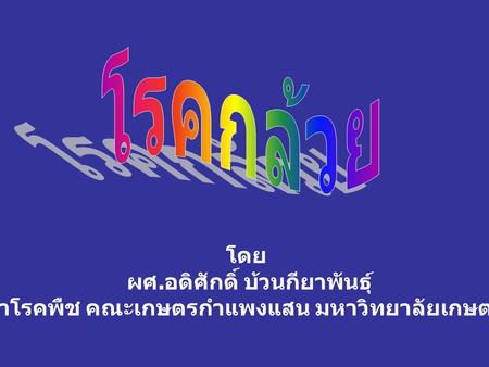 โรคกล้วย โดย ผศ.อดิศักดิ์ บ้วนกียาพันธุ์