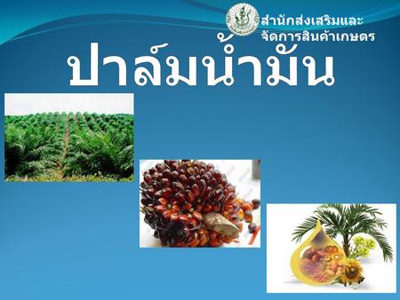 สำนักส่งเสริมและจัดการสินค้าเกษตร