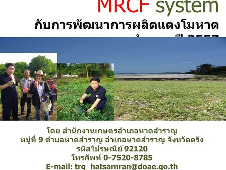 MRCF system กับการพัฒนาการผลิตแตงโมหาดสำราญ ปี 2557