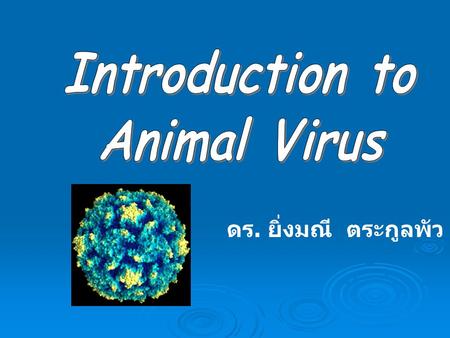 Introduction to Animal Virus