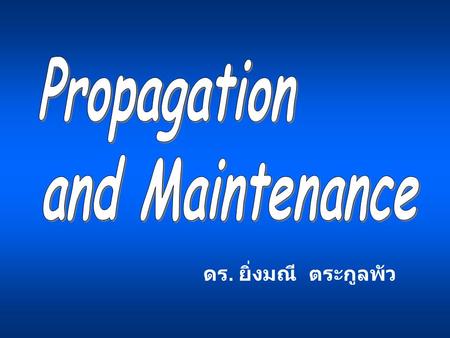 Propagation and Maintenance