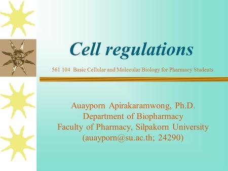 Cell regulations Auayporn Apirakaramwong, Ph.D. Department of Biopharmacy Faculty of Pharmacy, Silpakorn University 24290) 561 104.