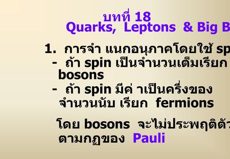 บทที่ 18 Quarks,  Leptons  & Big Bang 1.  การจำ แนกอนุภาคโดยใช้ spin