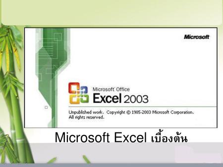 Microsoft Excel เบื้องต้น