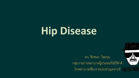 Hip Disease พว. ชิดชนก ไชยกุล กลุ่มงานการพยาบาลผู้ป่วยออร์โธปิดิกส์