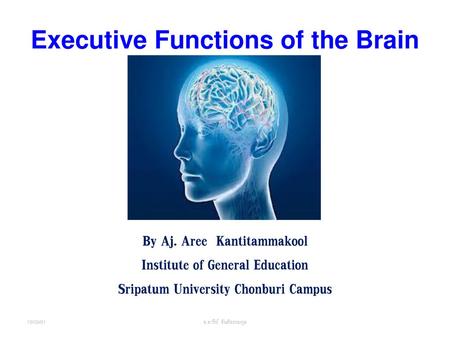 Executive Functions of the Brain