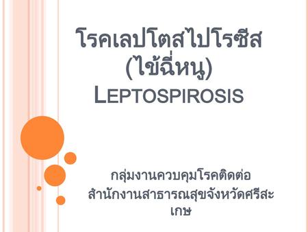 โรคเลปโตสไปโรซีส(ไข้ฉี่หนู) Leptospirosis
