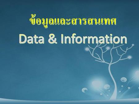 ข้อมูลและสารสนเทศ Data & Information.