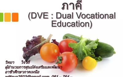 การอาชีวศึกษาระบบทวิภาคี (DVE : Dual Vocational Education)