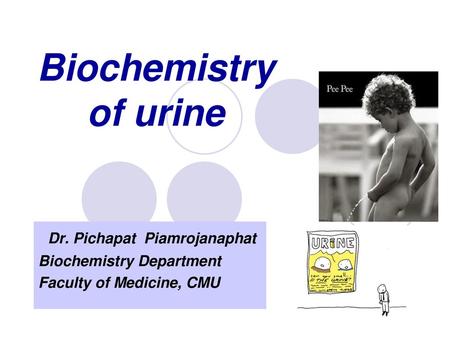 Biochemistry of urine Dr. Pichapat Piamrojanaphat