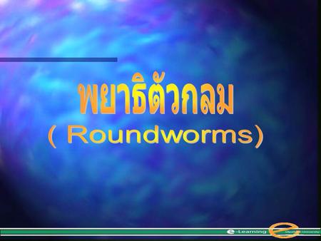 พยาธิตัวกลม ( Roundworms).
