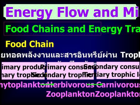 Energy Flow and Mineral Cycling