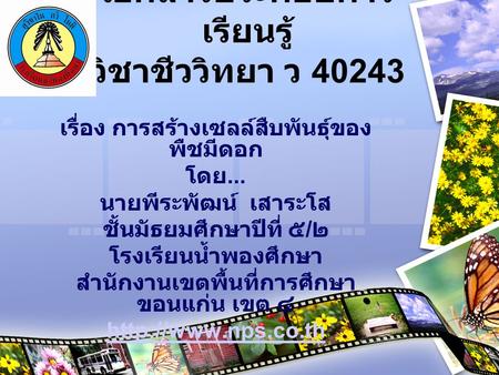 เอกสารประกอบการเรียนรู้ วิชาชีววิทยา ว 40243