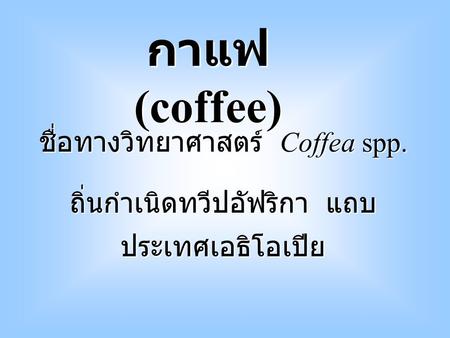 กาแฟ (coffee) ชื่อทางวิทยาศาสตร์ Coffea spp.