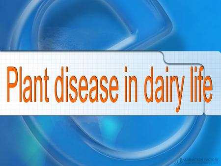 Plant disease in dairy life
