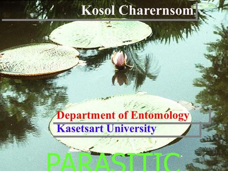 PARASITIC INSECTS Kosol Charernsom Department of Entomology