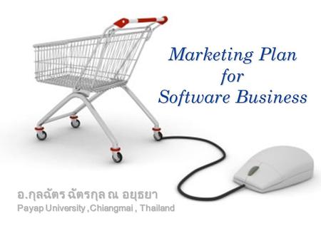Marketing Plan for Software Business