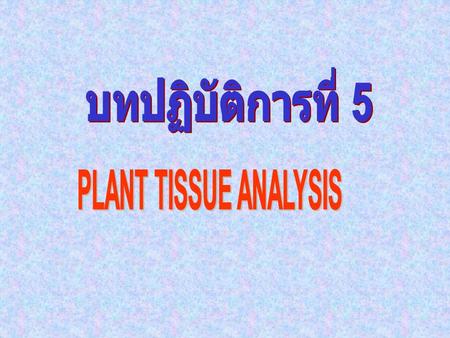 บทปฏิบัติการที่ 5 PLANT TISSUE ANALYSIS.