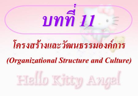 โครงสร้างและวัฒนธรรมองค์การ (Organizational Structure and Culture)