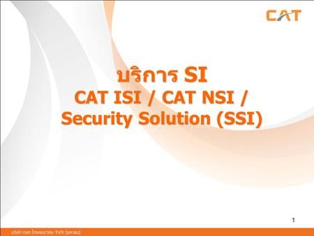 บริการ SI CAT ISI / CAT NSI / Security Solution (SSI)