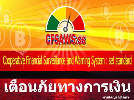 Cooperative Financial Surveillance and Warning System : set standard