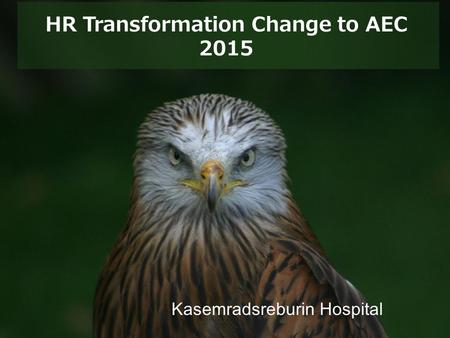 HR Transformation Change to AEC 2015
