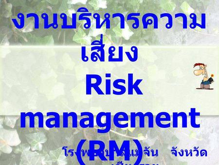 งานบริหารความเสี่ยง Risk management (RM)