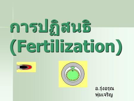 การปฏิสนธิ (Fertilization)