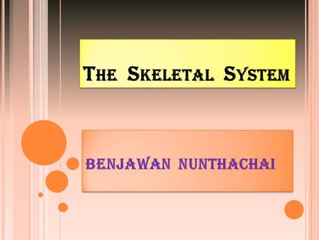 The Skeletal System BENJAWAN NUNTHACHAI.