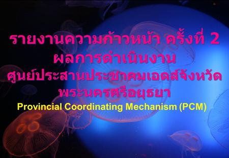 รายงานความก้าวหน้า ครั้งที่ 2 ผลการดำเนินงาน ศูนย์ประสานประชาคมเอดส์จังหวัด พระนครศรีอยุธยา Provincial Coordinating Mechanism (PCM)