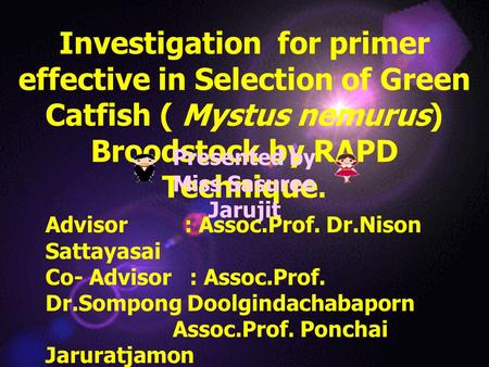 Investigation for primer effective in Selection of Green Catfish ( Mystus nemurus) Broodstock by RAPD Technique. Presented by Miss Sasuree Jarujit Advisor.